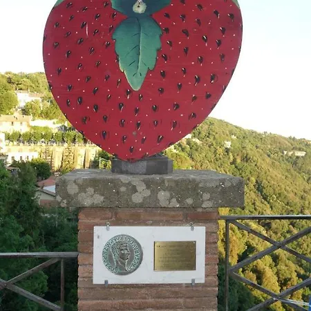 Lägenhet Homes - Mini - Nemi